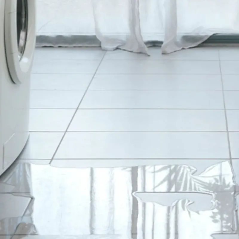Appliance Leak Cleanup in Douglas, GA